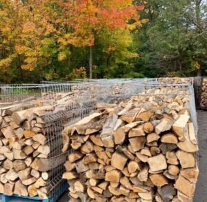 bûches de bois de chauffage 50 cm – grande taille